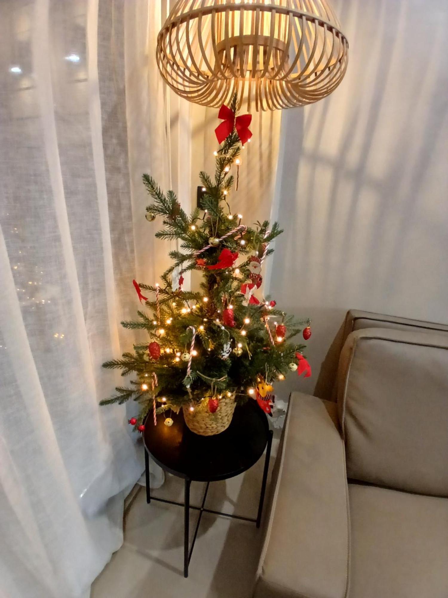 Apartament ύρια House's